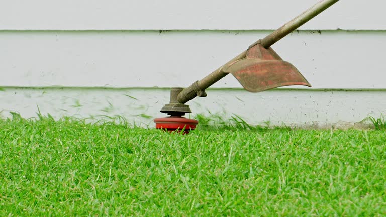 Best Hedge Trimming  in Bayou Vista, TX